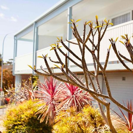 Mollymook Motel Exterior photo